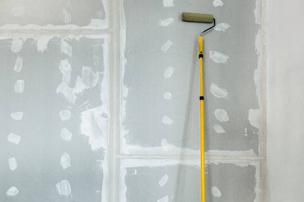 Best Dehumidification Services  in Woodmoor, CO