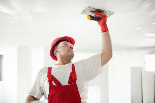 Reliable Woodmoor, CO Mold Removal Solutions