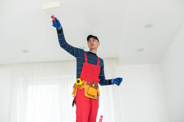 Asbestos and Lead Testing During Mold Inspection in Woodmoor, CO