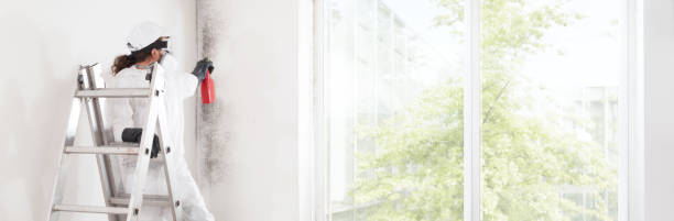 Best Biohazard Mold Removal  in Woodmoor, CO
