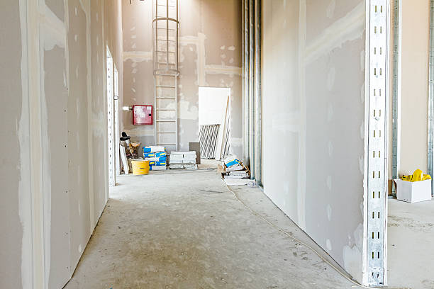 Best Mold Remediation for Healthcare Facilities  in Woodmoor, CO