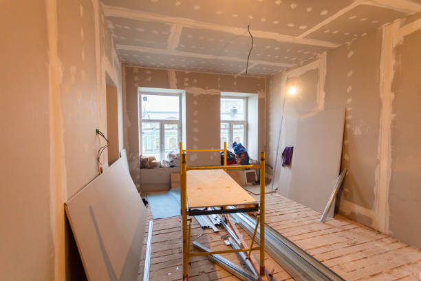 Best Crawl Space Mold Remediation  in Woodmoor, CO